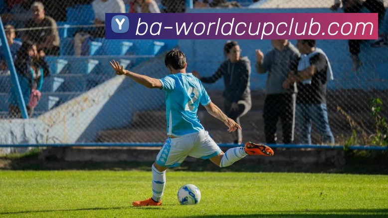 世界杯APP下载发展历程